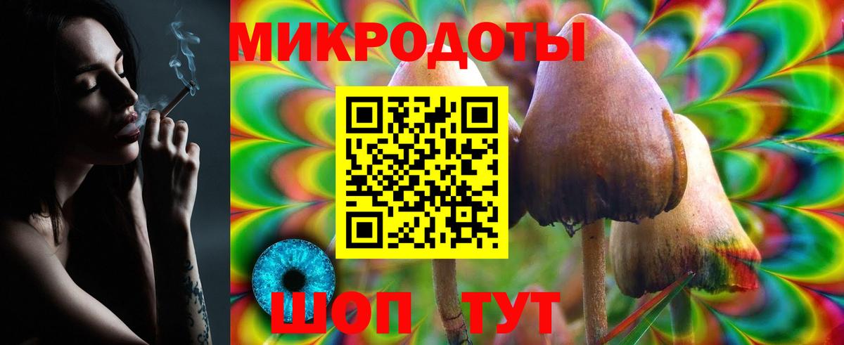 Псилоцибиновые грибы Psilocybe  Вход с VPN  Мытищи 